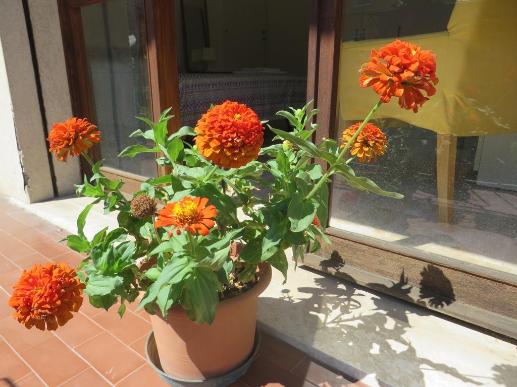 بادوفا B&B Casa Patavina المظهر الخارجي الصورة